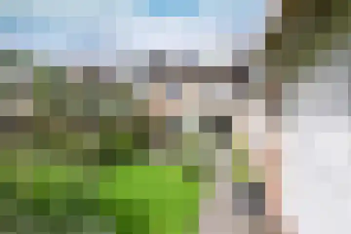 Engelsjan 33 Laren thumbnail 22