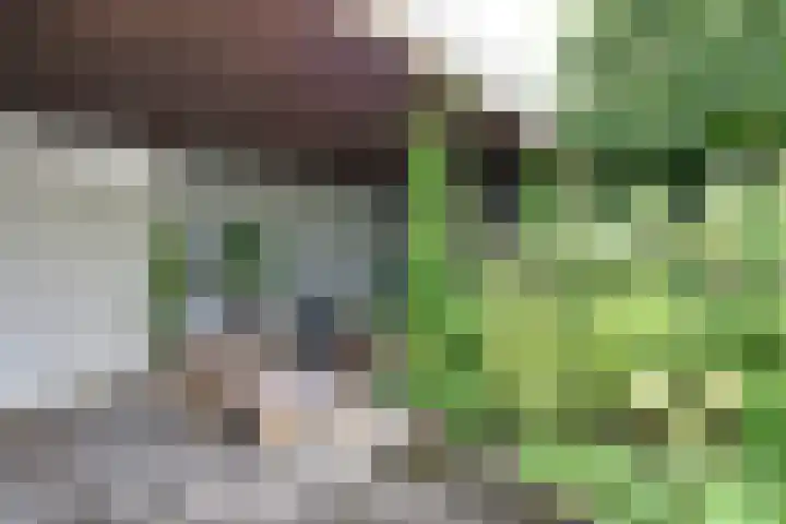 Engelsjan 33 Laren thumbnail 23