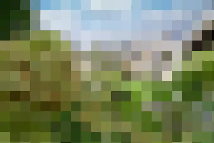 Engelsjan 33 Laren thumbnail 24