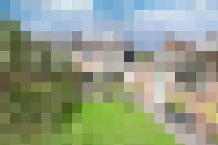 Engelsjan 33 Laren thumbnail 25