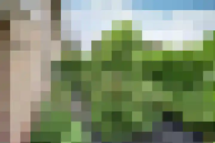 Engelsjan 33 Laren thumbnail 32
