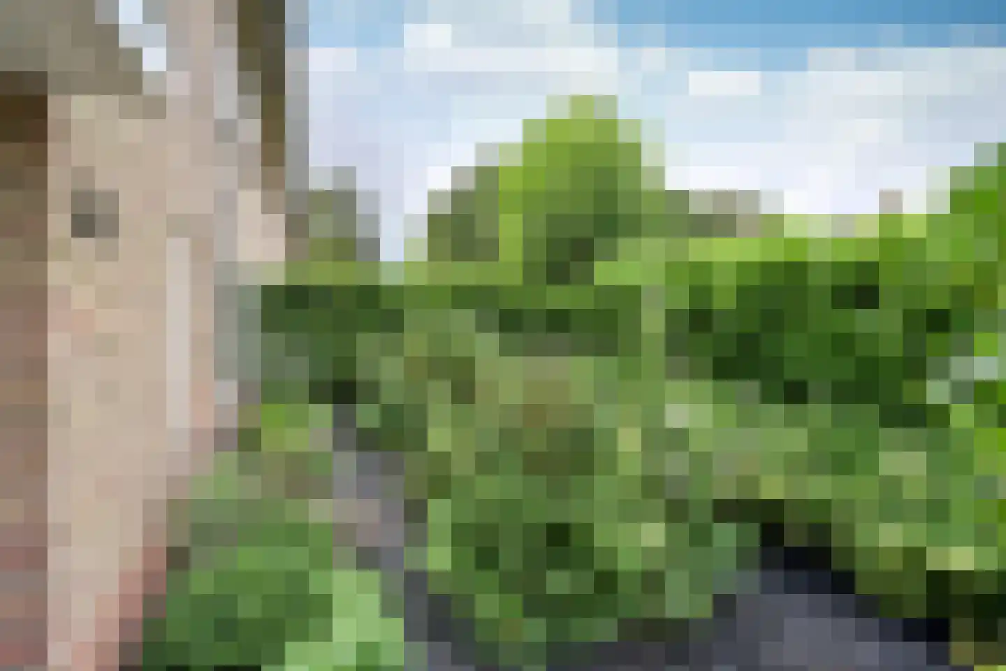 Engelsjan 33 Laren thumbnail 32