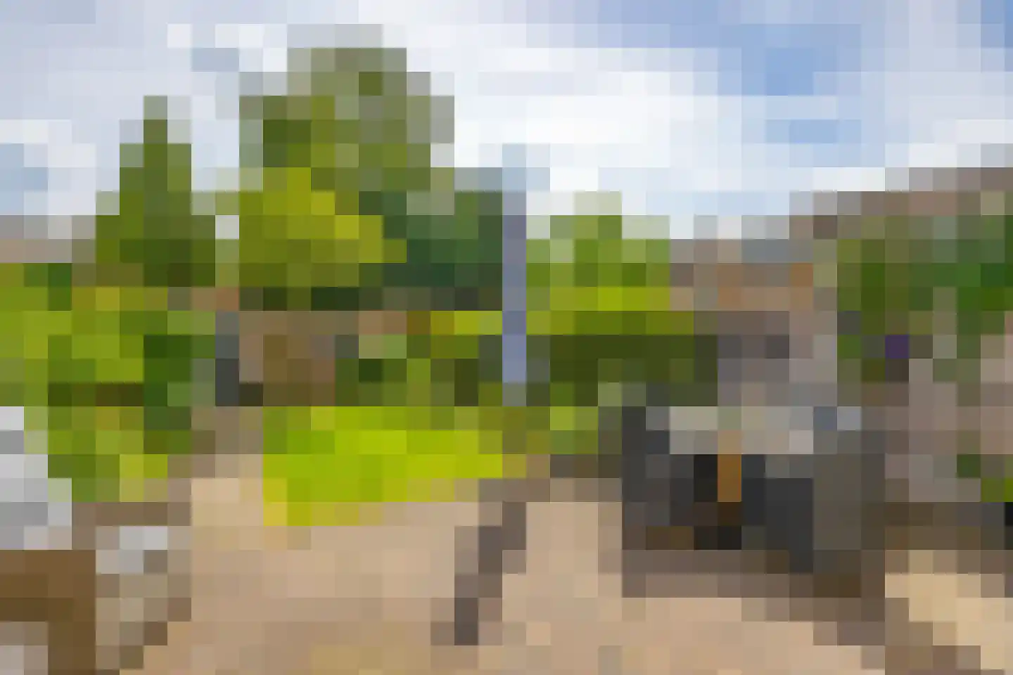 Engelsjan 39 Laren thumbnail 31
