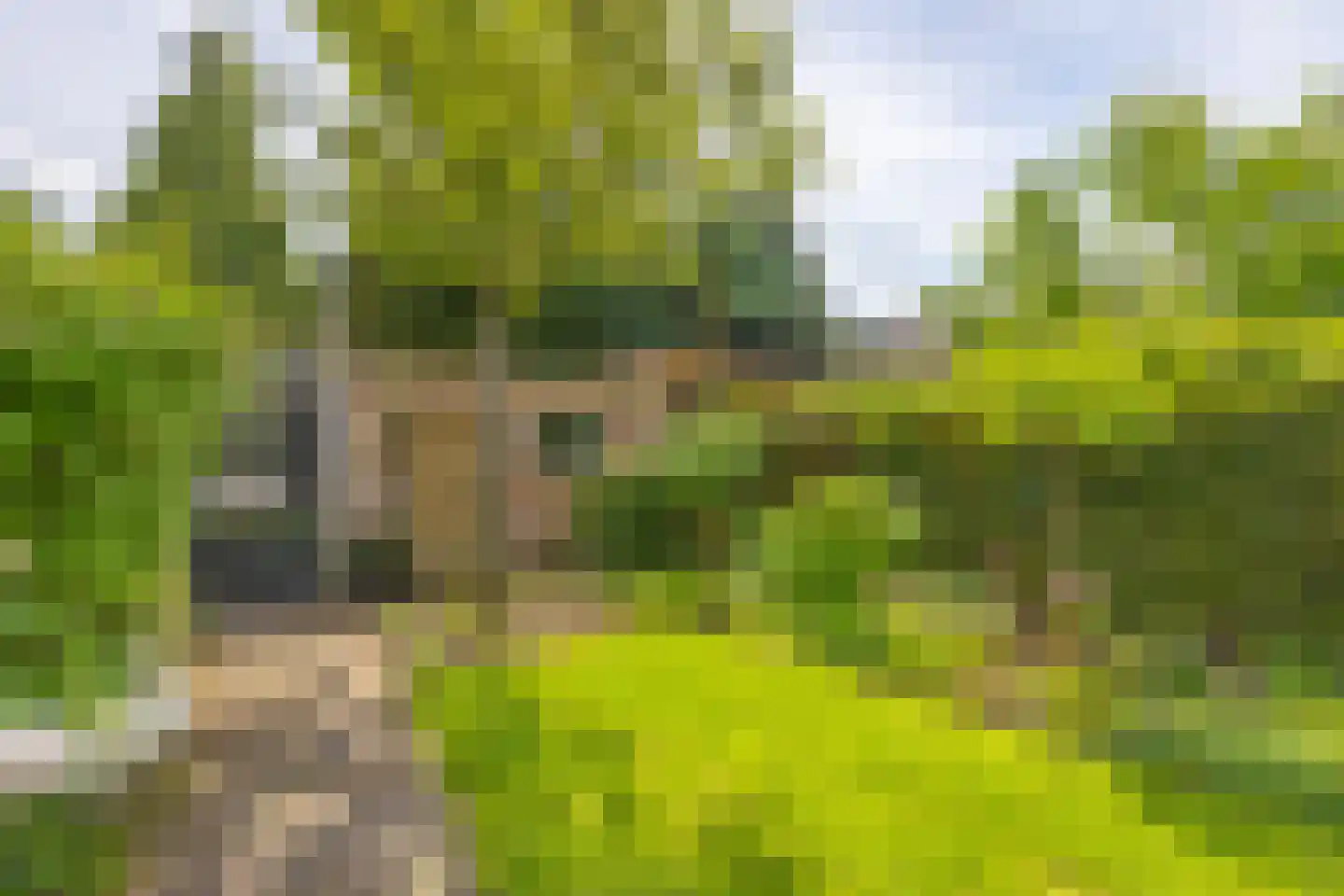 Engelsjan 39 Laren thumbnail 33
