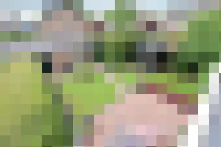 Engelsjan 5 Laren thumbnail 12