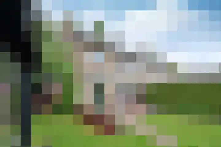 Engelsjan 5 Laren thumbnail 17