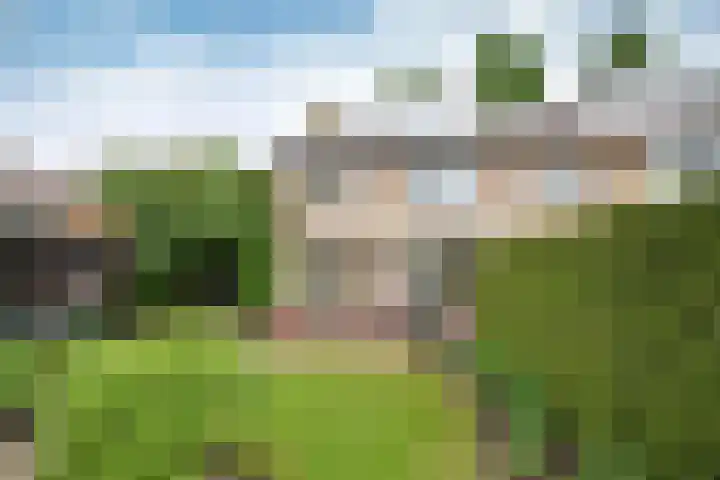 Engelsjan 5 Laren thumbnail 18