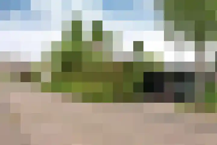Engelsjan 5 Laren thumbnail 19