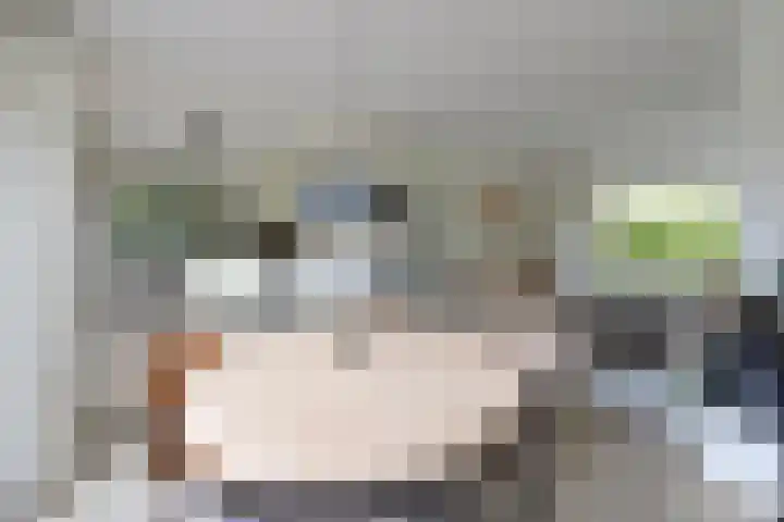 Engelsjan 5 Laren thumbnail 5