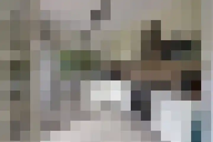 Engelsjan 5 Laren thumbnail 6