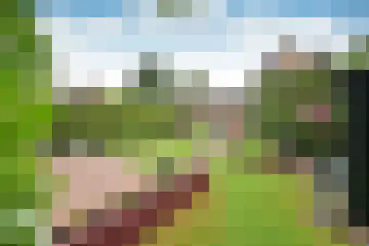 Engelsjan 5 Laren thumbnail 7