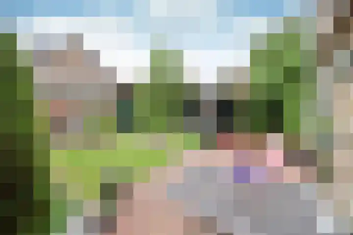 Engelsjan 5 Laren thumbnail 8
