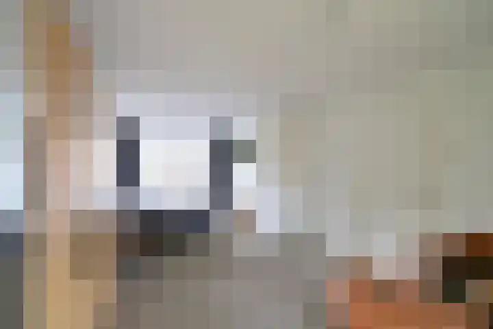 Engelsjan 5 Laren thumbnail 9