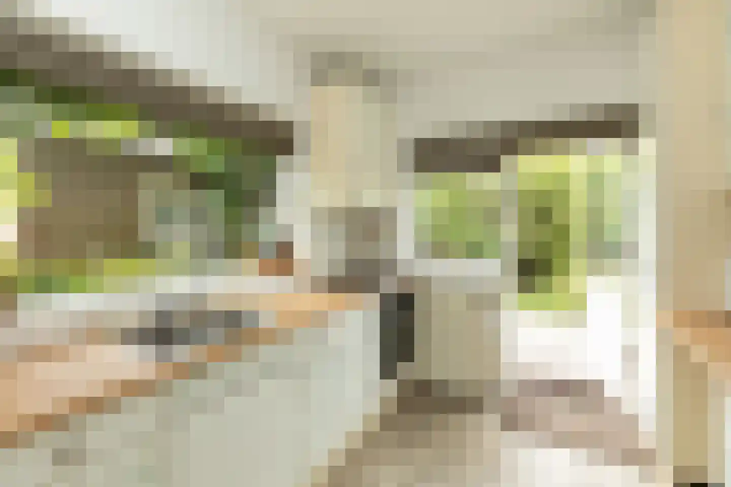 Engelsjan 7 Laren thumbnail 10
