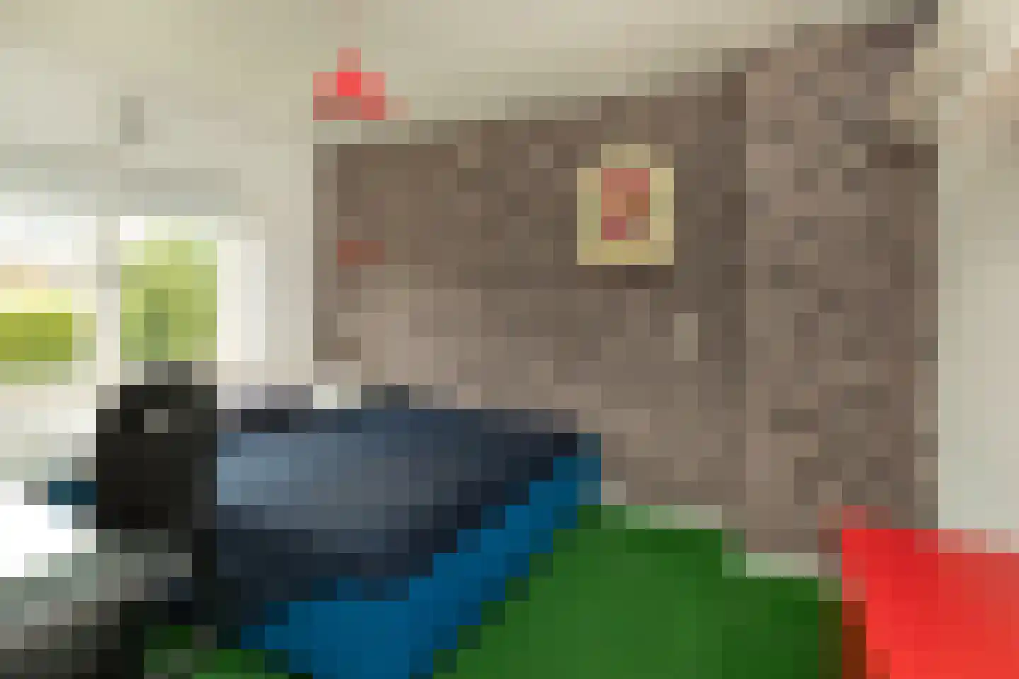 Engelsjan 7 Laren thumbnail 14