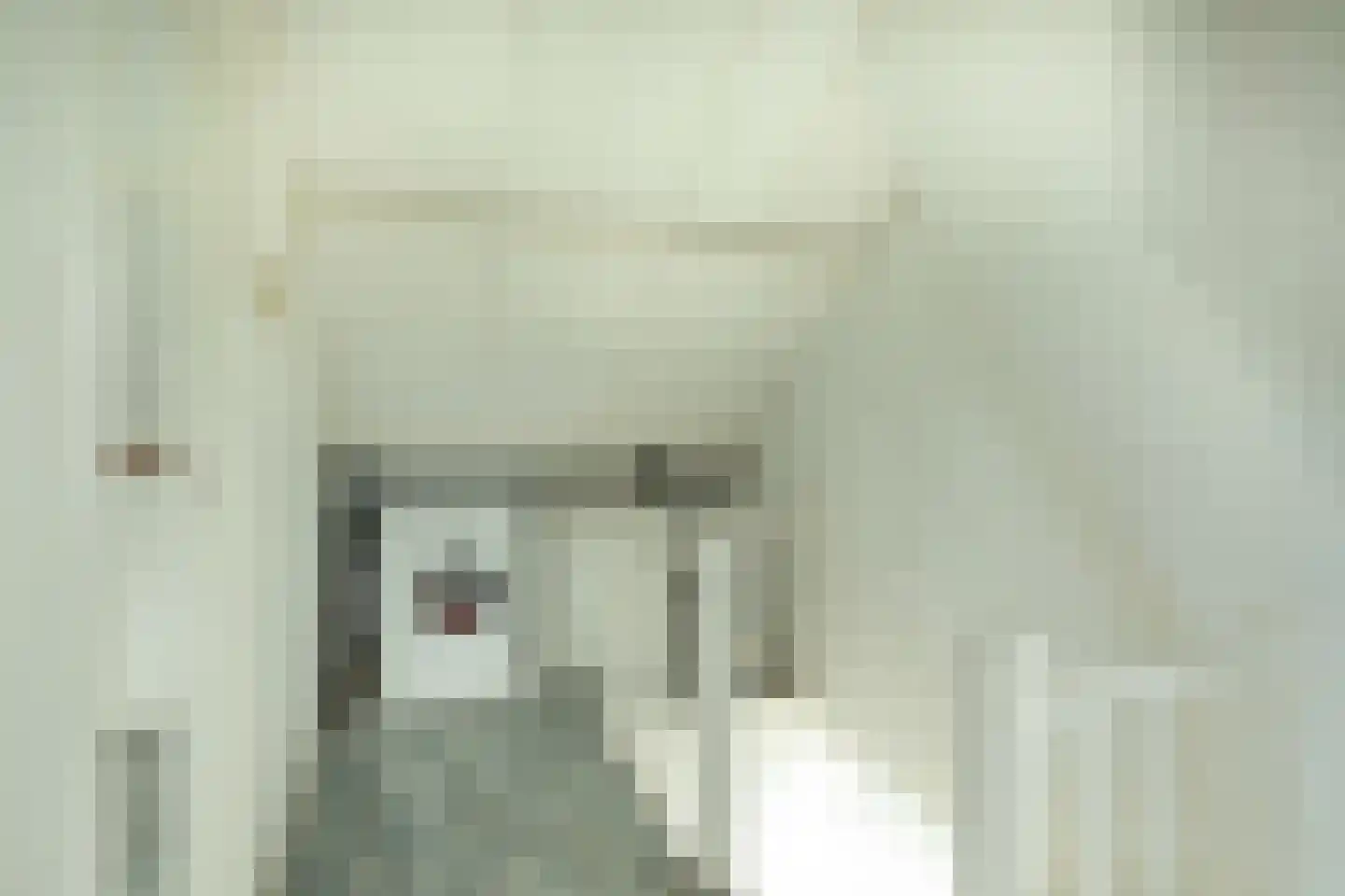 Engelsjan 7 Laren thumbnail 22
