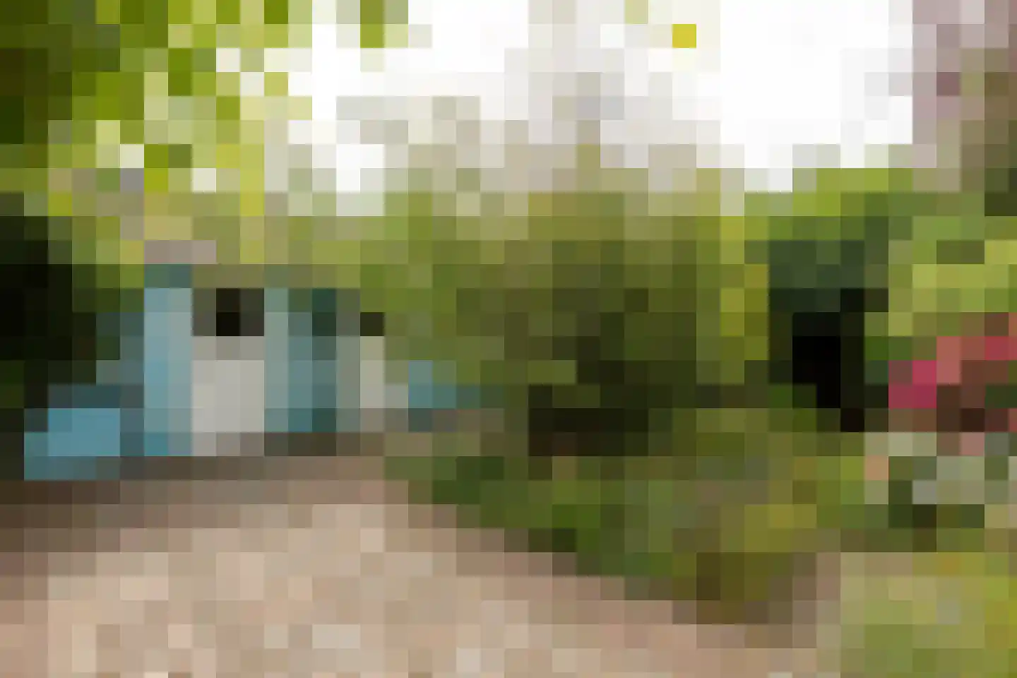 Engelsjan 7 Laren thumbnail 23