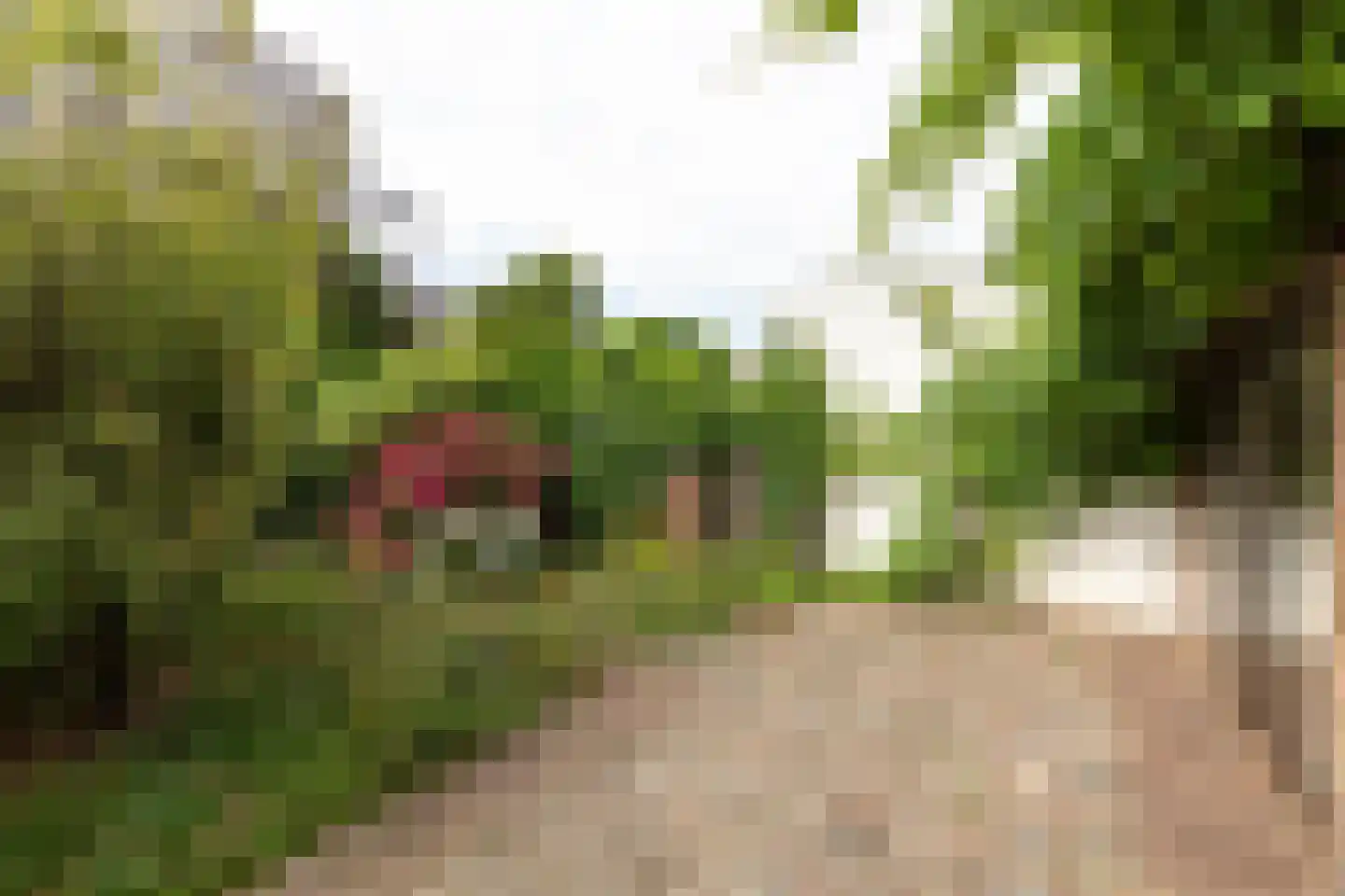 Engelsjan 7 Laren thumbnail 24