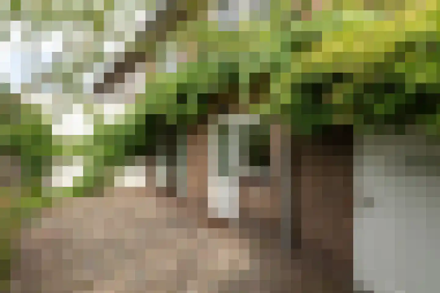 Engelsjan 7 Laren thumbnail 25