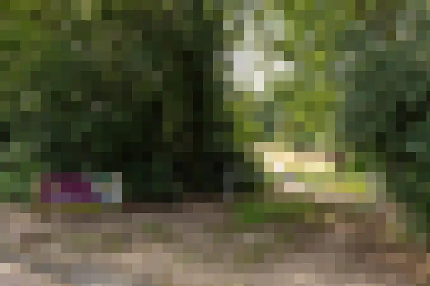 Engelsjan 7 Laren thumbnail 27