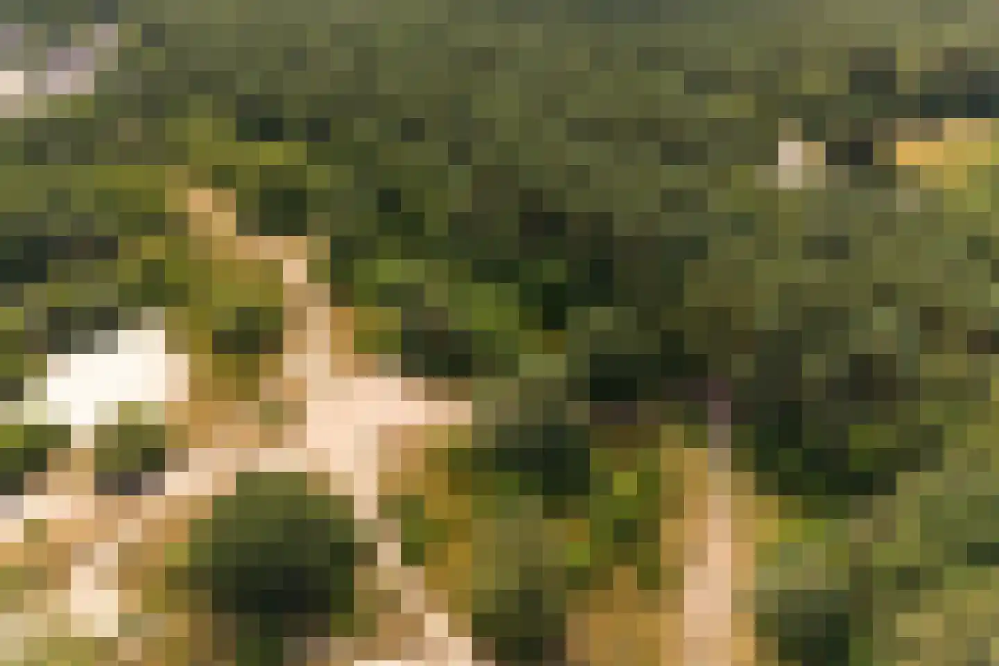 Engelsjan 7 Laren thumbnail 28