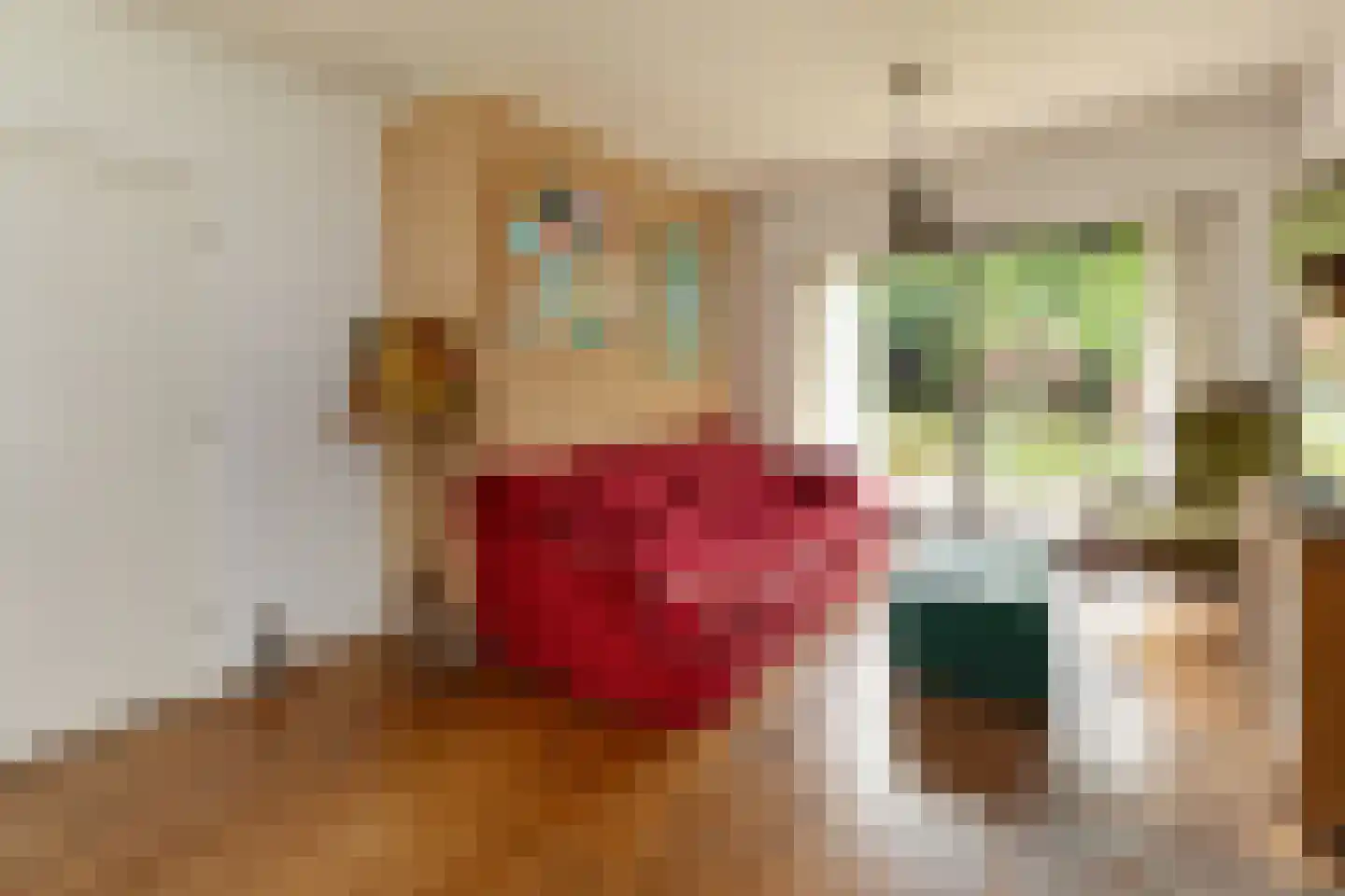 Engelsjan 7 Laren thumbnail 5