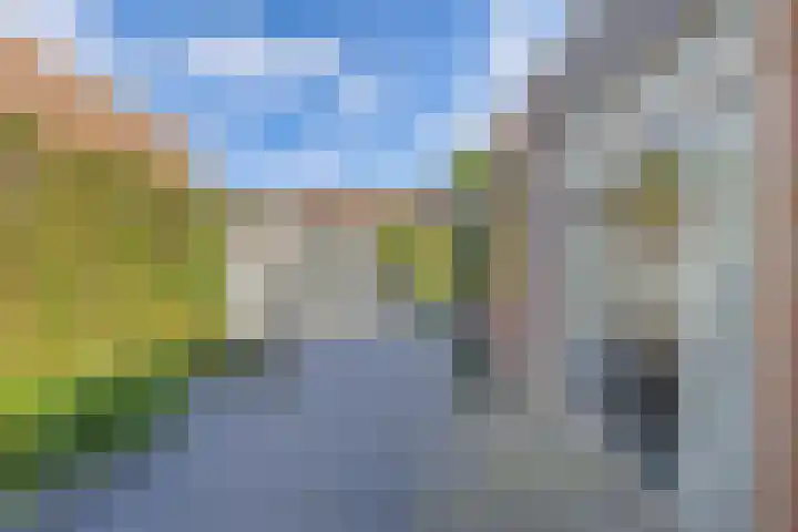 Engelsmangat 5 Emmeloord thumbnail 39