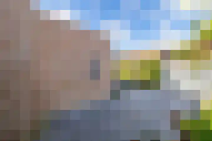Engelsmangat 5 Emmeloord thumbnail 43