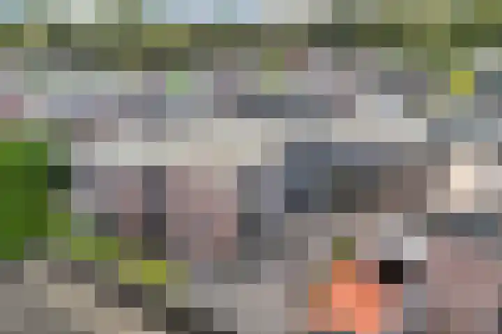 Engelsmangat 5 Emmeloord thumbnail 44