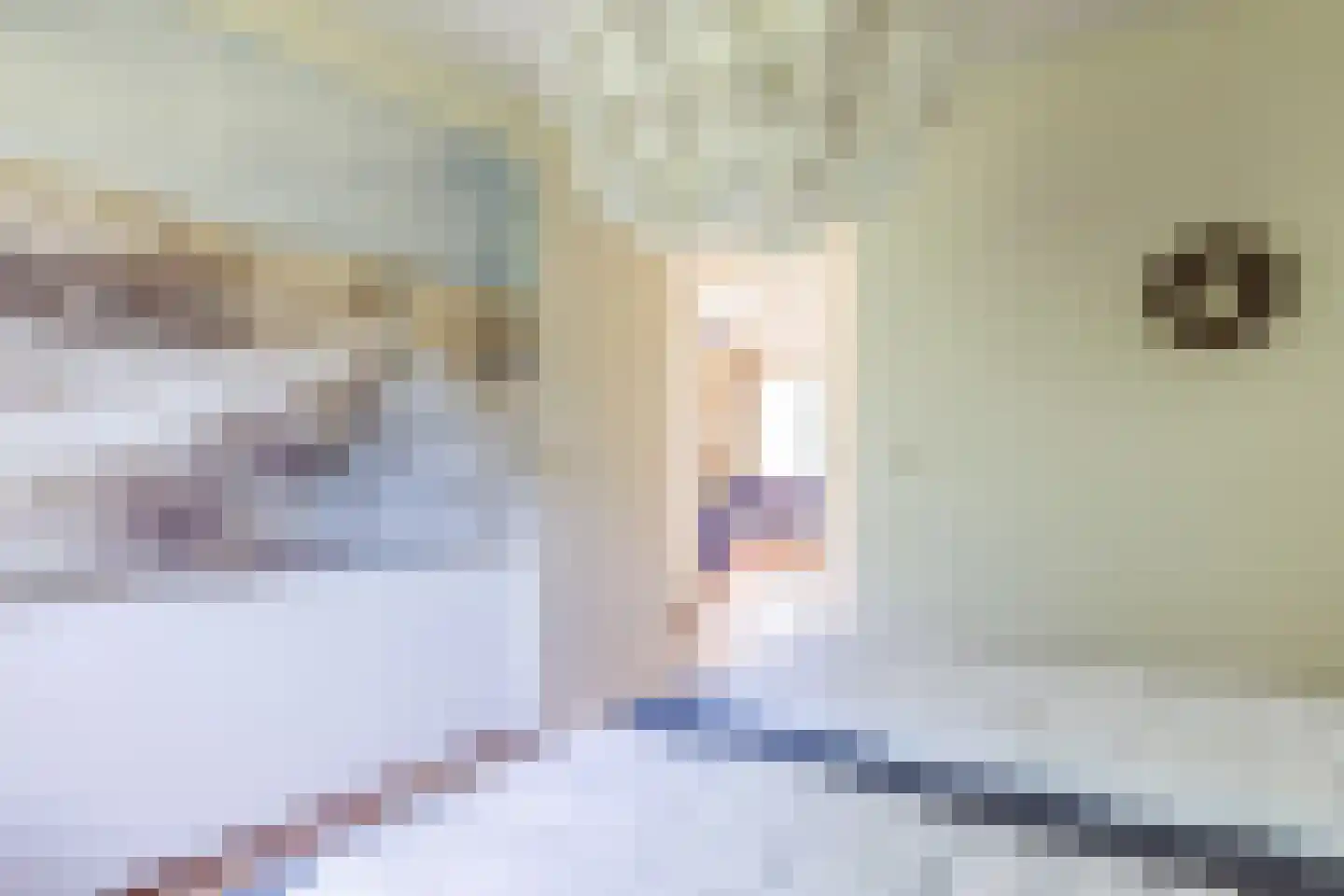 Engelsmanhiem 10 Hollum thumbnail 19