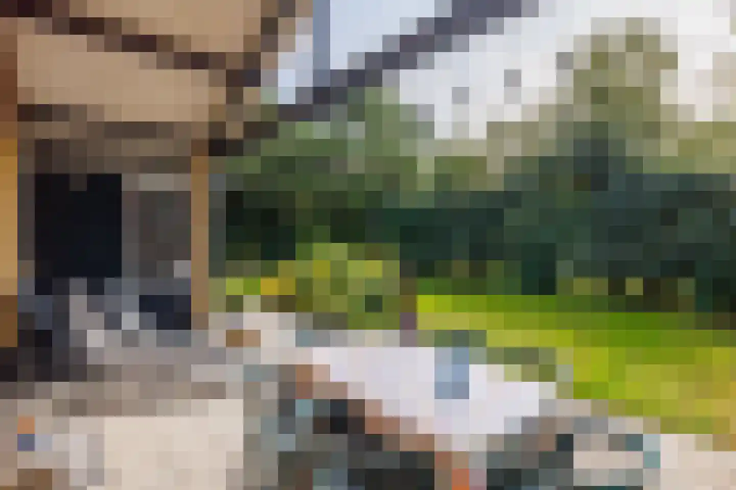 Engelsmanhiem 10 Hollum thumbnail 30