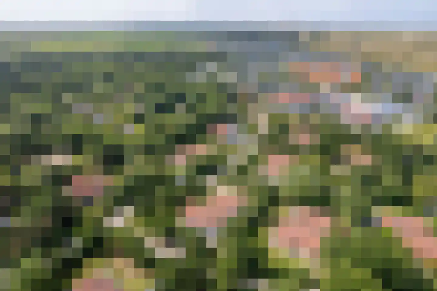 Engelsmanhiem 10 Hollum thumbnail 39