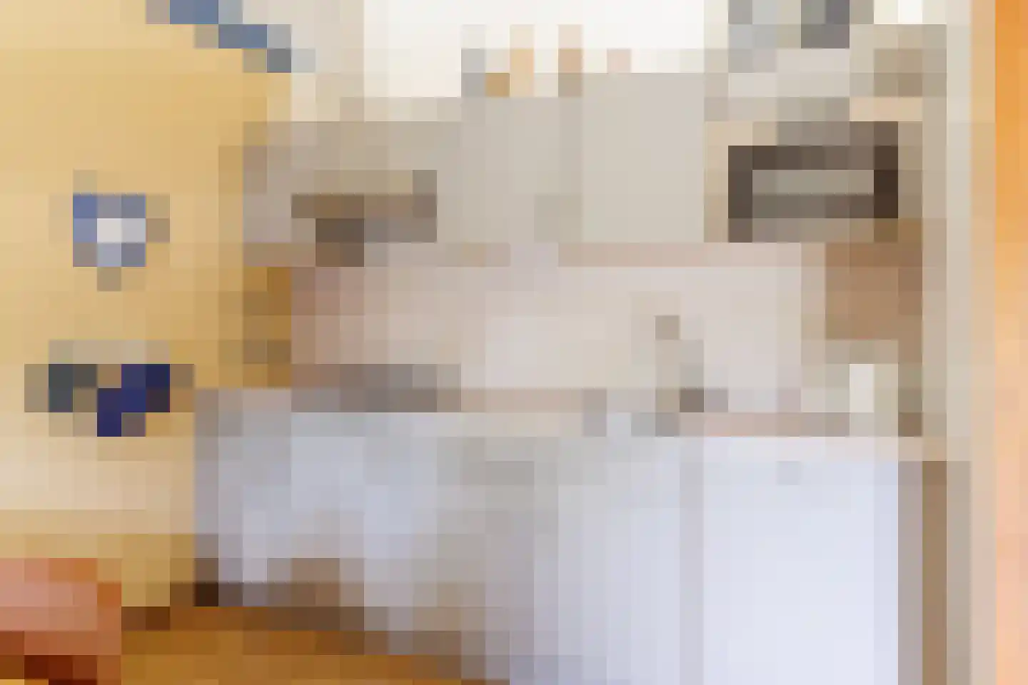 Engelsmanhiem 10 Hollum thumbnail 4