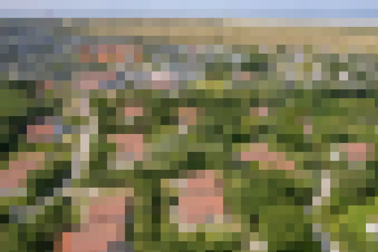 Engelsmanhiem 10 Hollum thumbnail 40