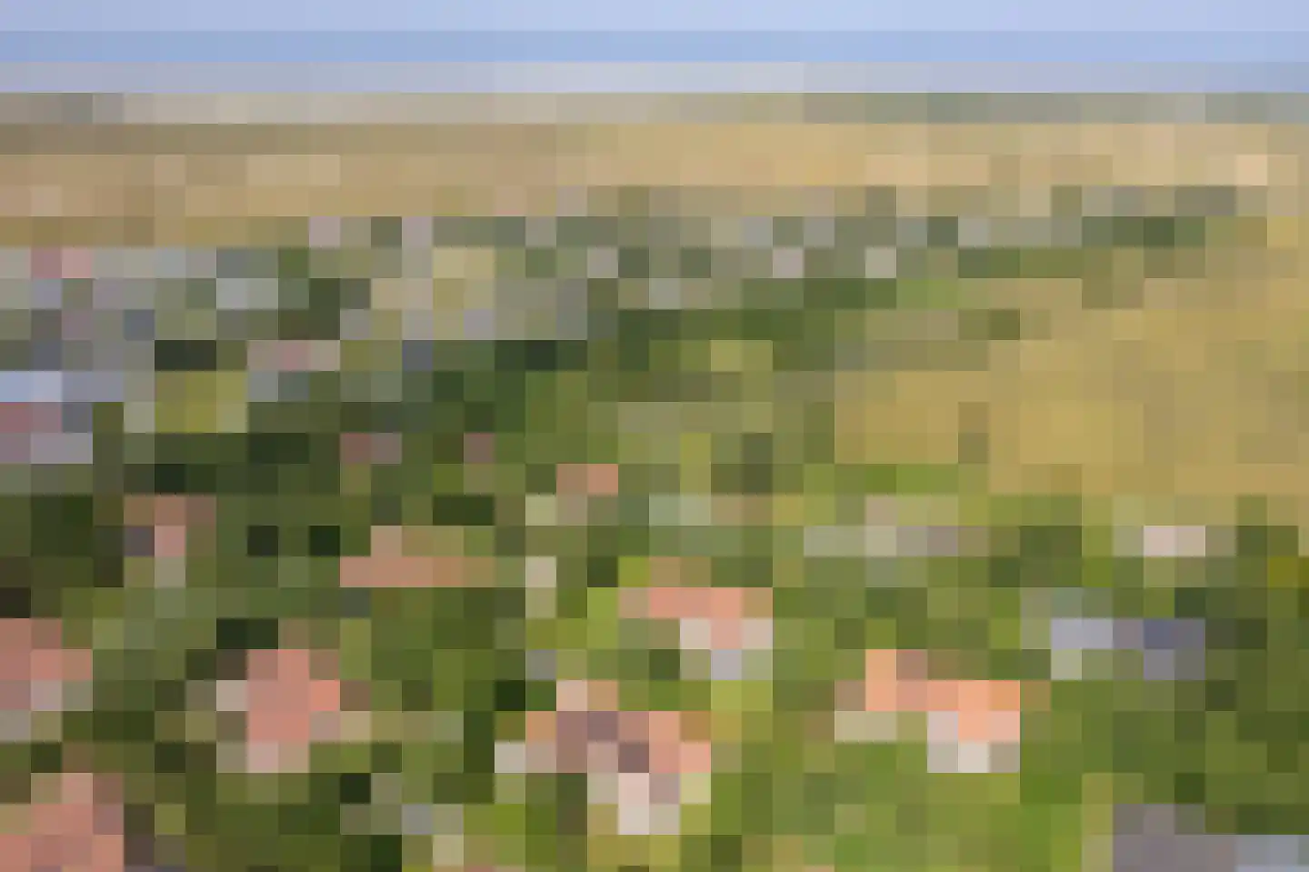 Engelsmanhiem 10 Hollum thumbnail 41