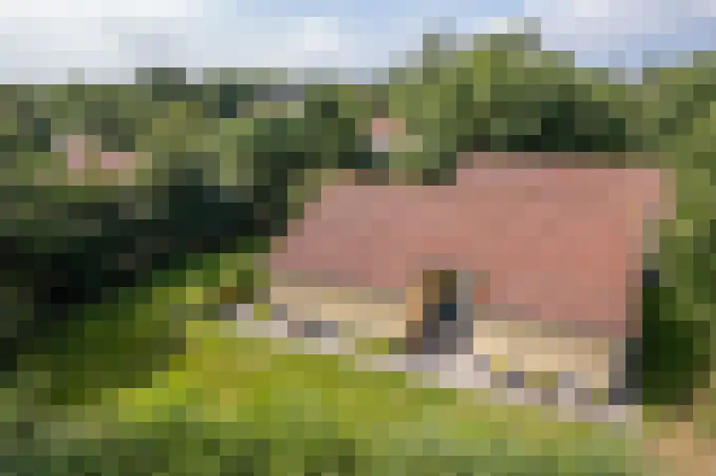 Engelsmanhiem 10 Hollum thumbnail 43