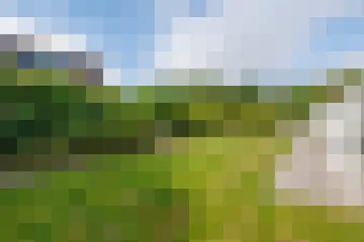 Engelsmanhiem 2 Hollum thumbnail 16