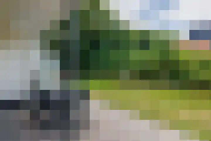Engelsmanhiem 2 Hollum thumbnail 18