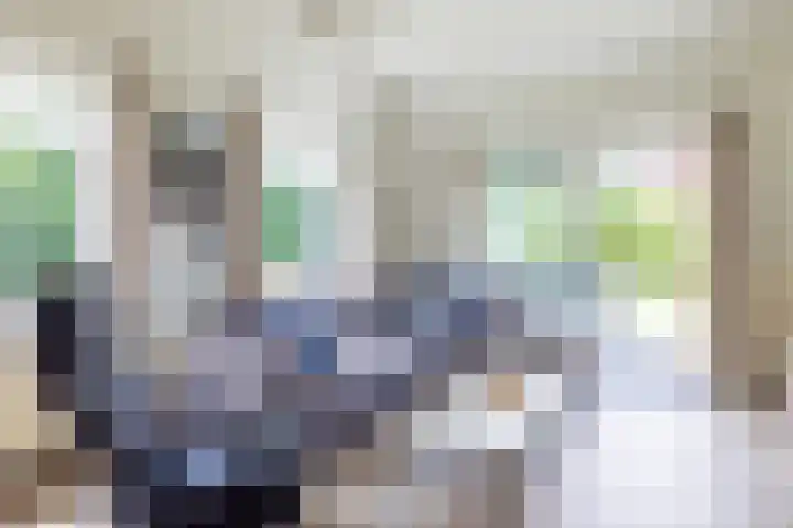 Engelsmanhiem 2 Hollum thumbnail 20