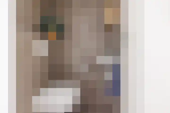 Engelsmanhiem 2 Hollum thumbnail 30