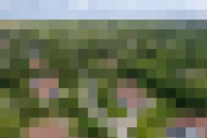 Engelsmanhiem 2 Hollum thumbnail 36