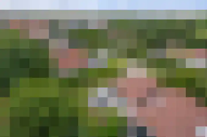 Engelsmanhiem 2 Hollum thumbnail 37