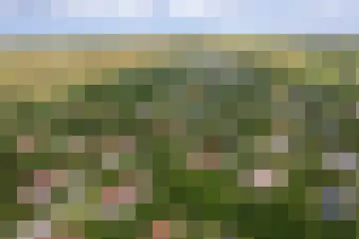 Engelsmanhiem 2 Hollum thumbnail 38