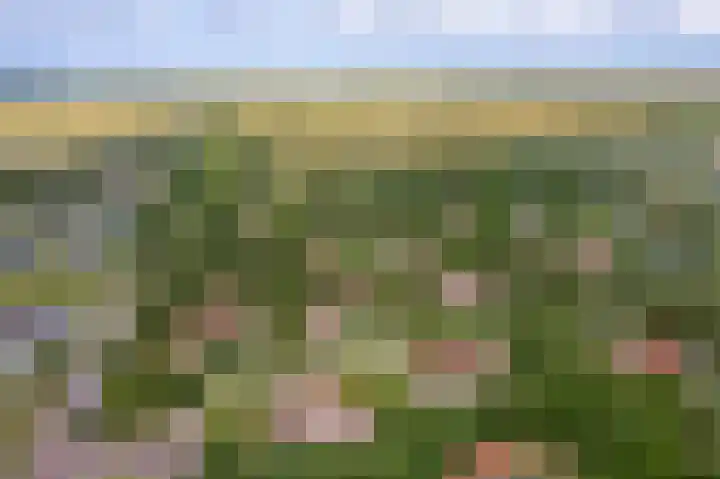 Engelsmanhiem 2 Hollum thumbnail 39