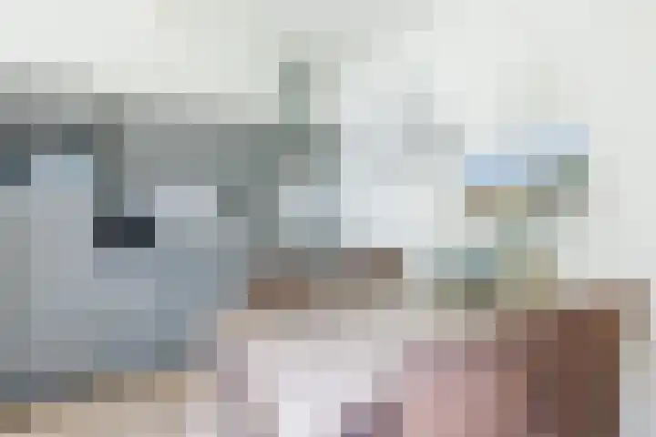 Engelsmanhiem 2 Hollum thumbnail 4