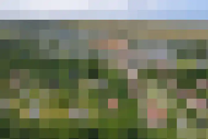 Engelsmanhiem 2 Hollum thumbnail 41