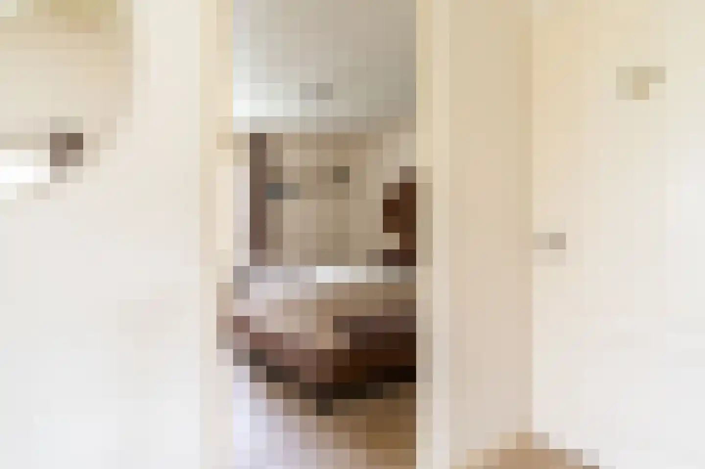 Engelsmanhiem 23 Hollum thumbnail 15