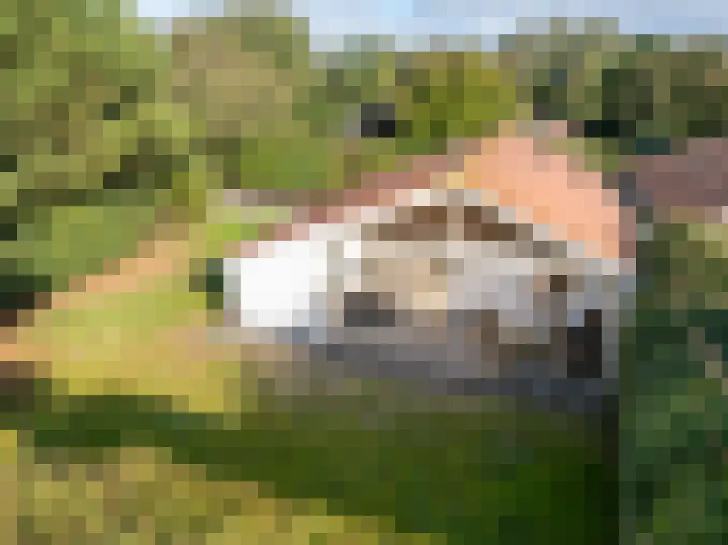 Engelsmanhiem 23 Hollum thumbnail 30