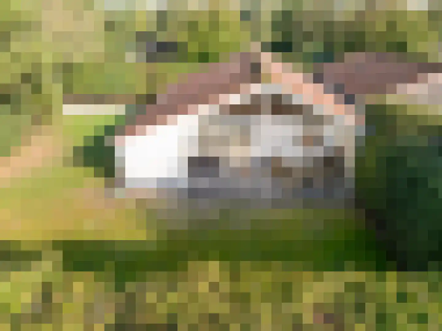 Engelsmanhiem 23 Hollum thumbnail 32