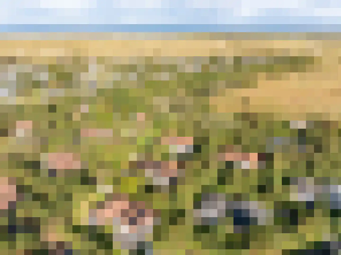 Engelsmanhiem 23 Hollum thumbnail 35